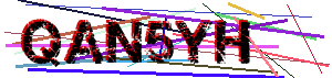 Human verification code (Captcha)